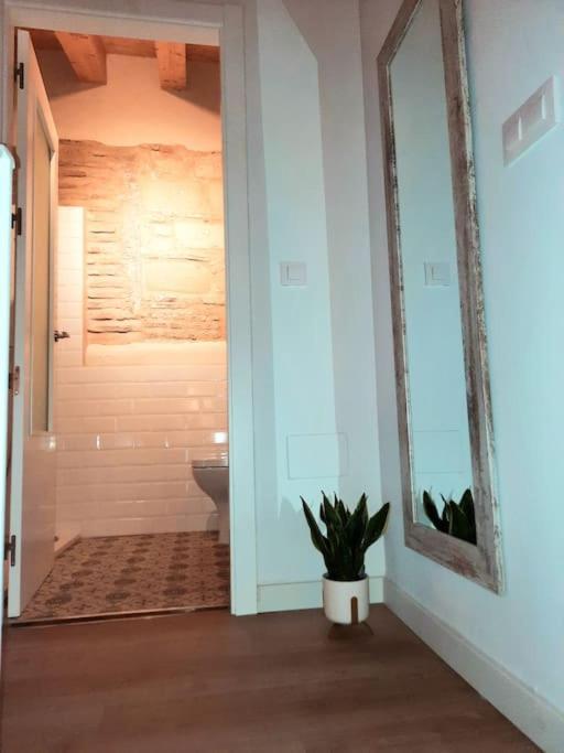 Loft Centrico Con Patio Bodega San Javier Διαμέρισμα Χέρεζ Εξωτερικό φωτογραφία